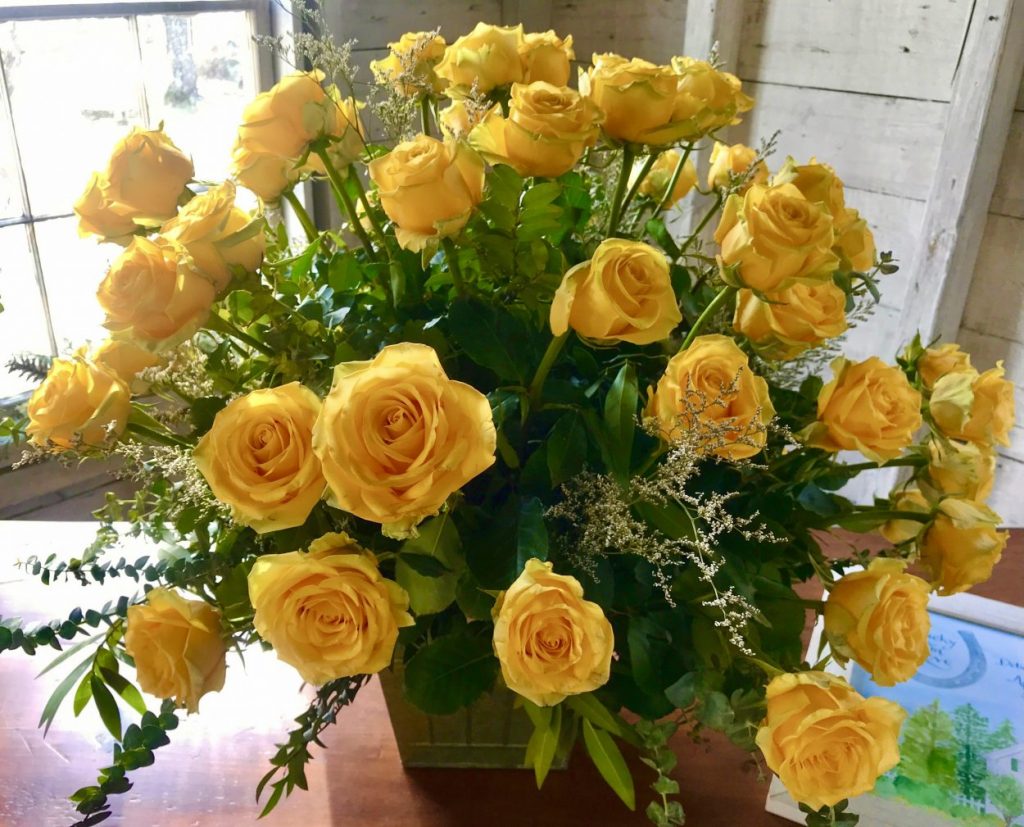 Yellow roses at Hardy Farm