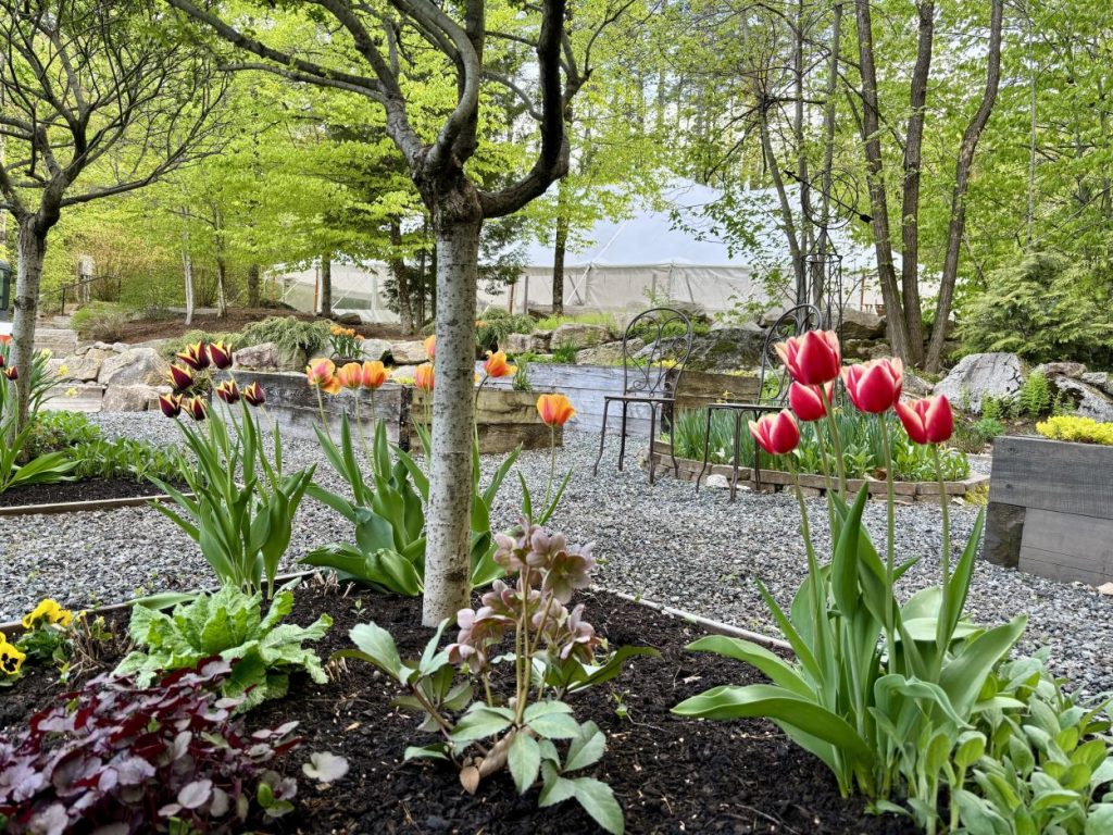 spring wedding in maine